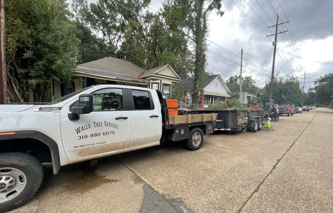 Images Walls Tree Service