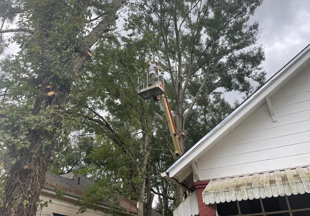 Images Walls Tree Service