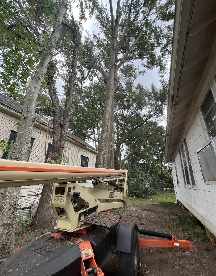 Images Walls Tree Service