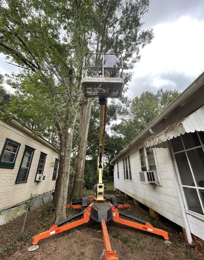 Images Walls Tree Service
