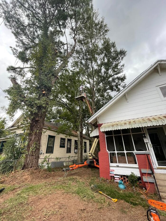 Images Walls Tree Service