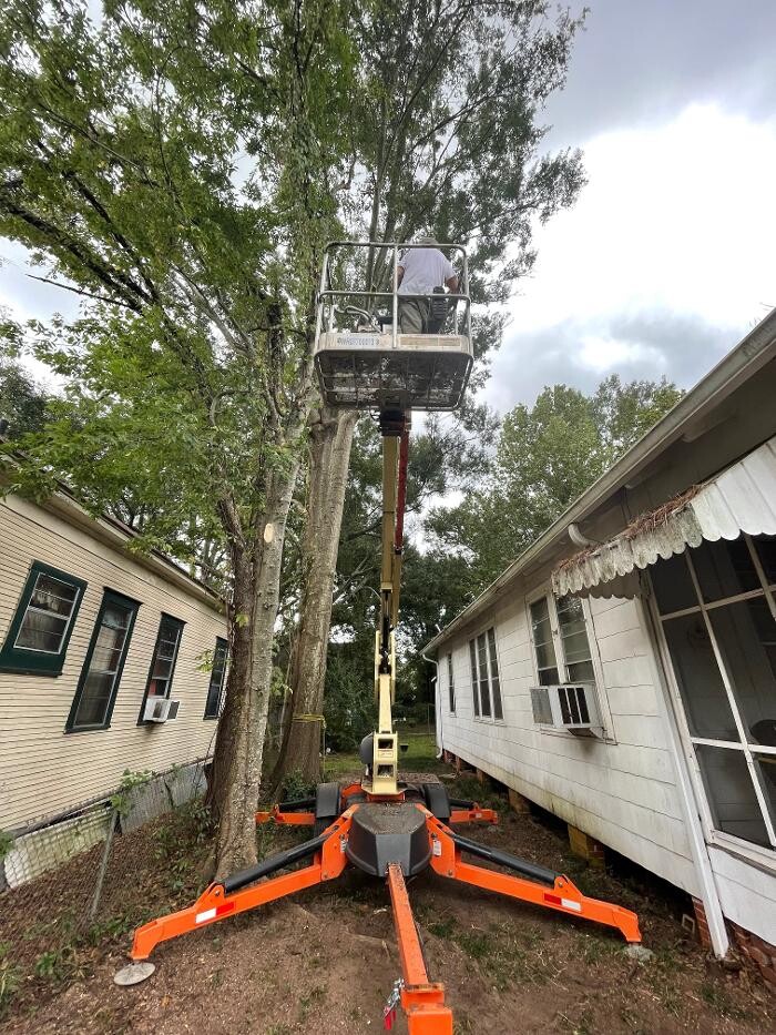 Images Walls Tree Service