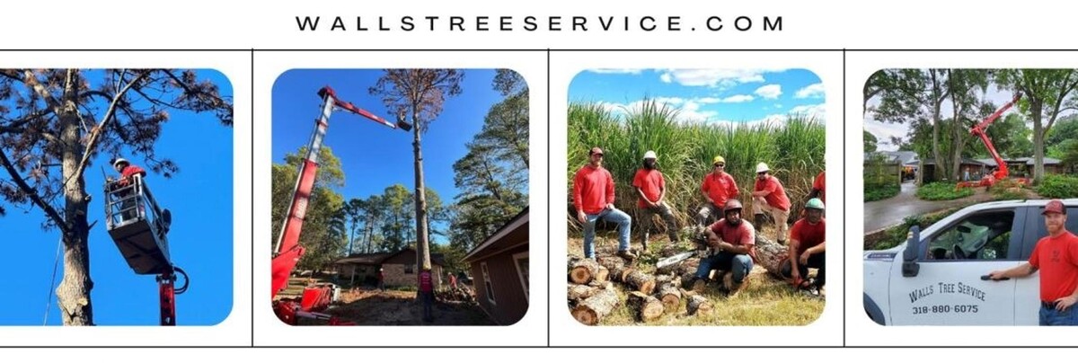 Images Walls Tree Service