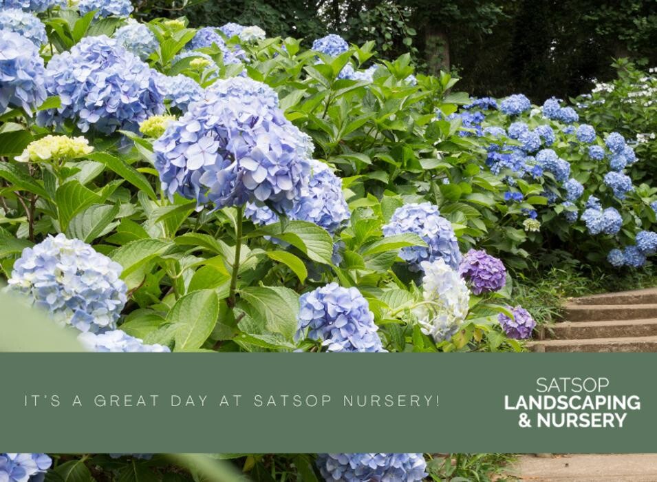 Images Satsop Landscaping & Nursery