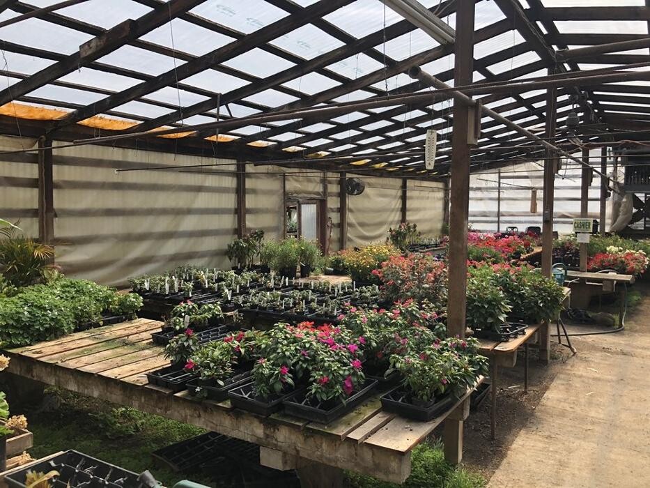Images Satsop Landscaping & Nursery