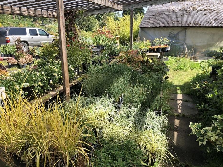 Images Satsop Landscaping & Nursery