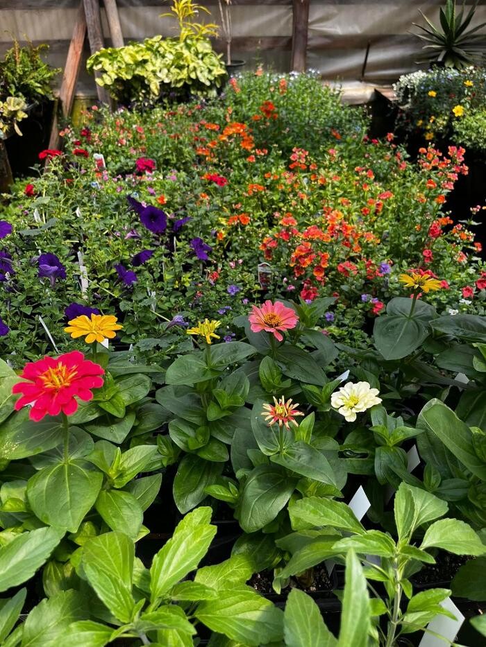 Images Satsop Landscaping & Nursery