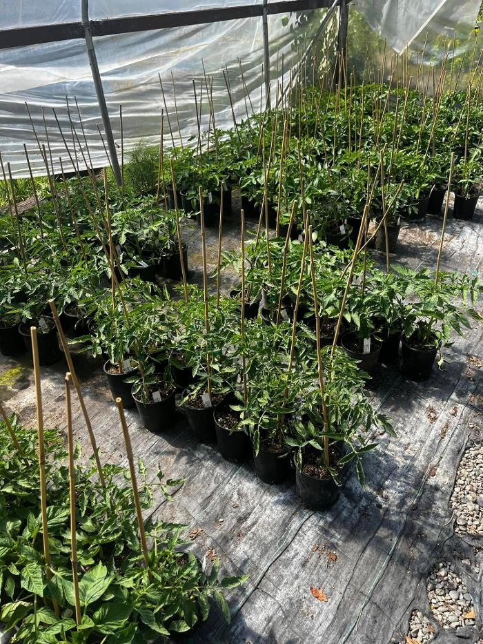 Images Satsop Landscaping & Nursery