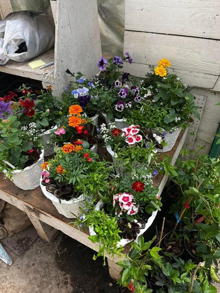 Images Satsop Landscaping & Nursery