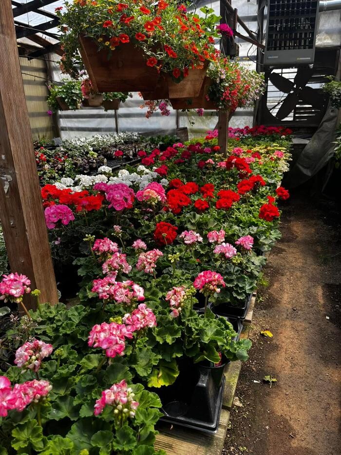 Images Satsop Landscaping & Nursery