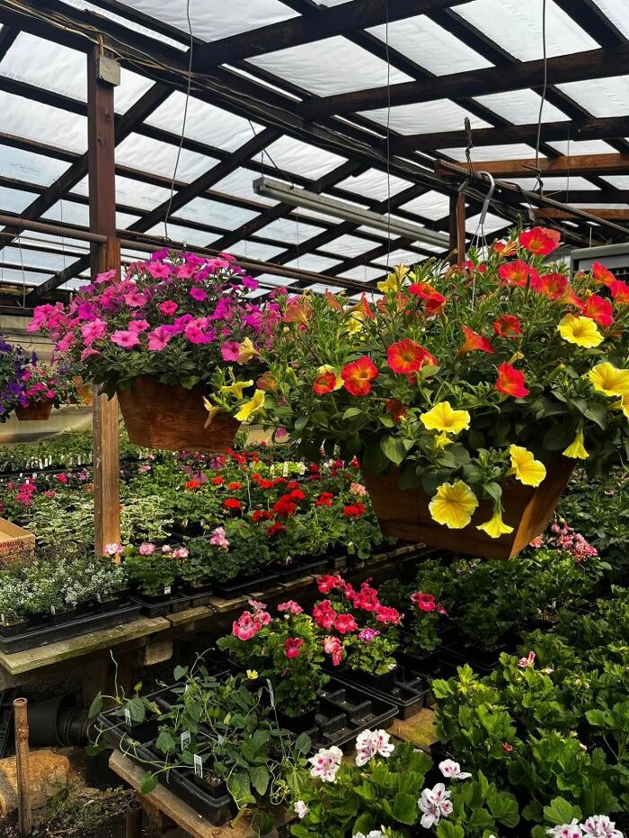 Images Satsop Landscaping & Nursery