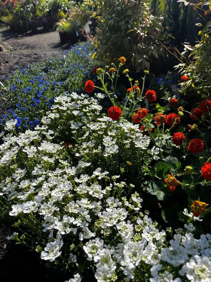 Images Satsop Landscaping & Nursery