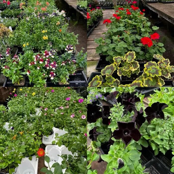 Images Satsop Landscaping & Nursery