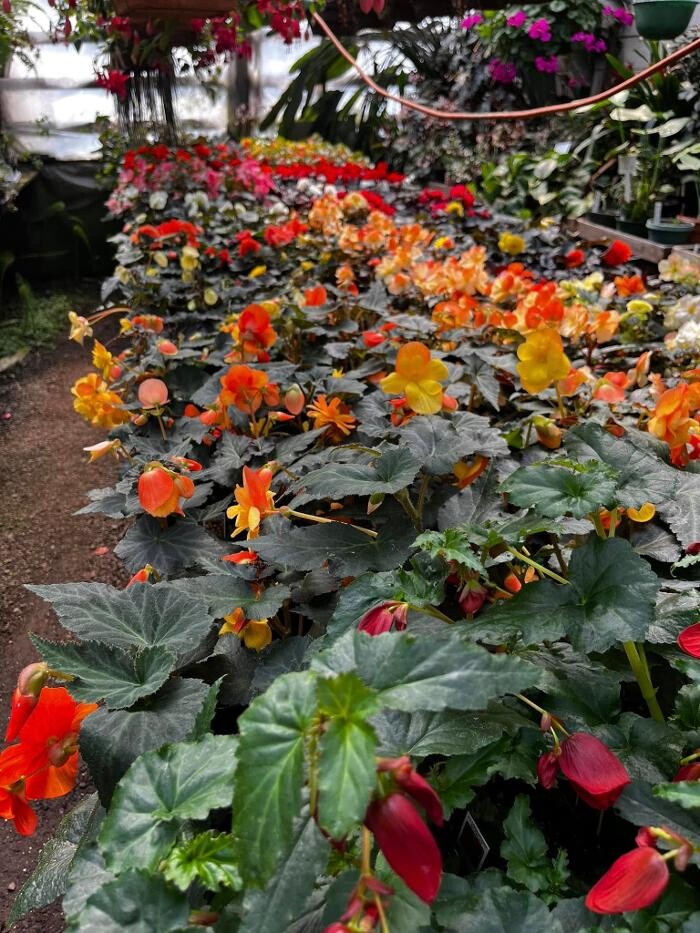 Images Satsop Landscaping & Nursery