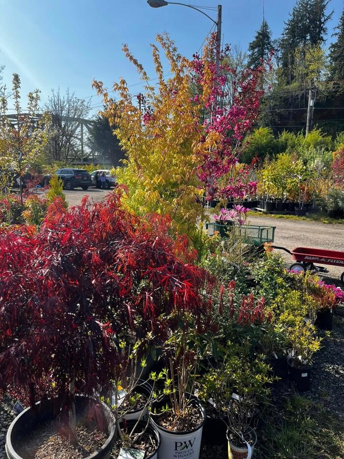 Images Satsop Landscaping & Nursery