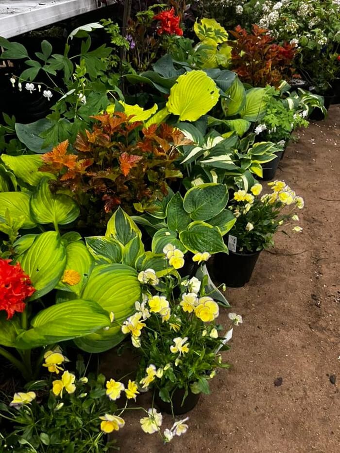 Images Satsop Landscaping & Nursery