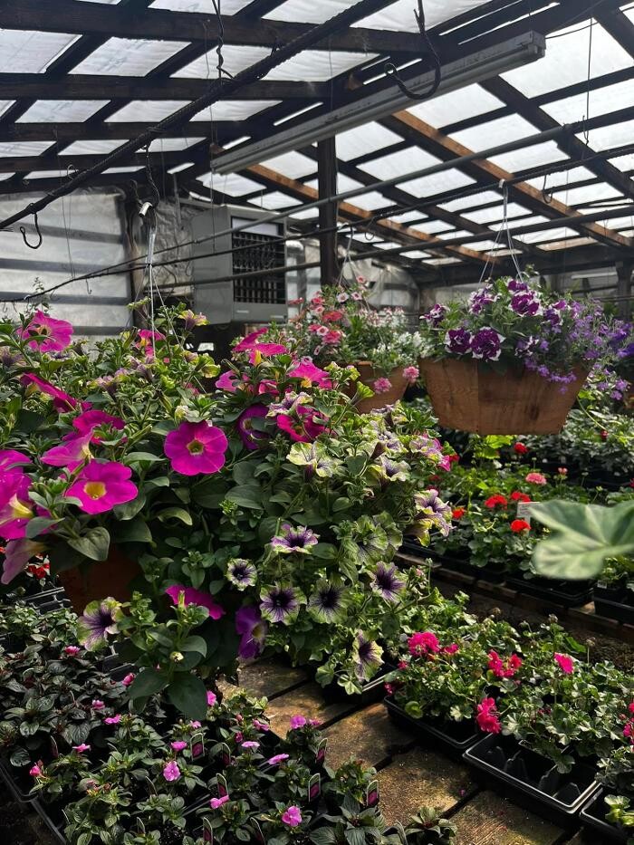 Images Satsop Landscaping & Nursery