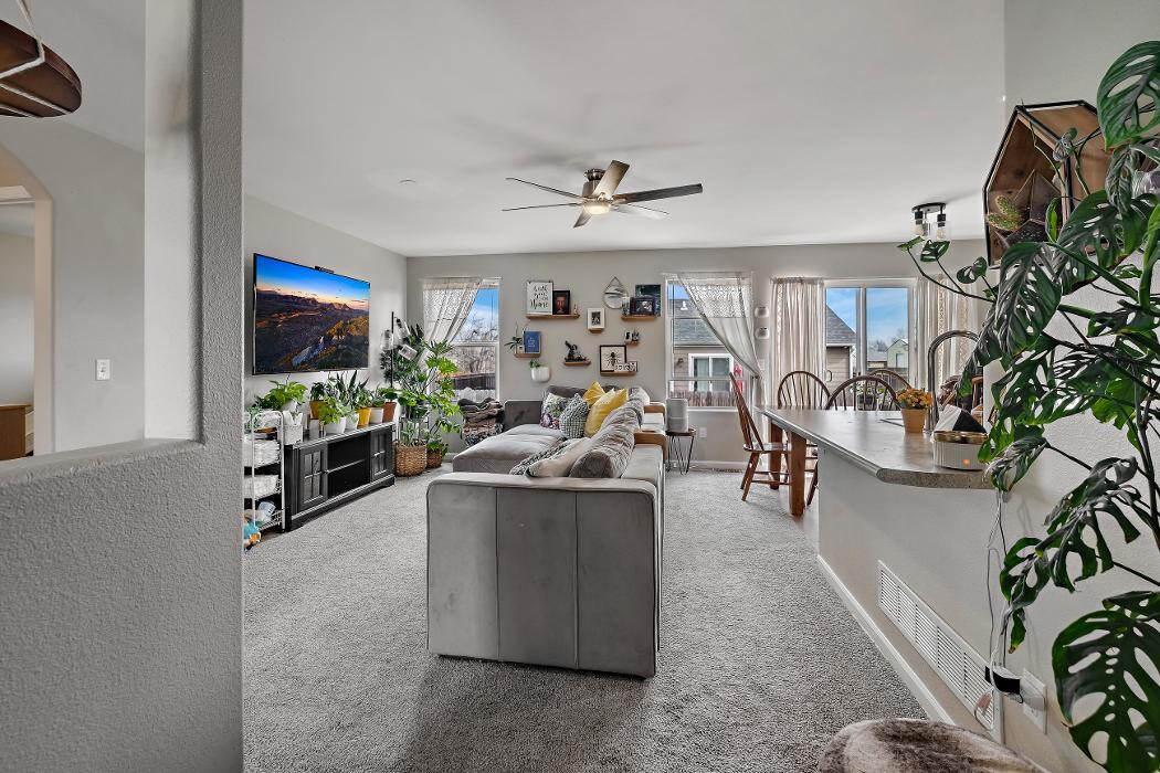 Images Peak Properties