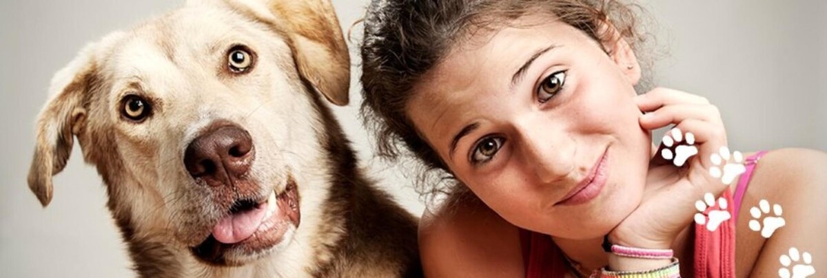 Images Seven Hills Veterinary Hospital