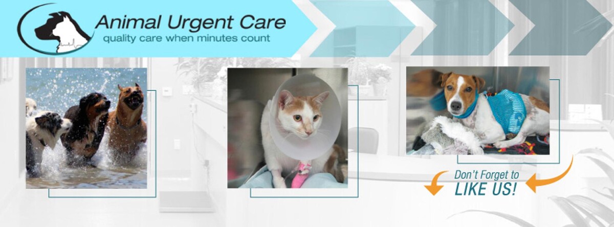 Images Animal Urgent Care