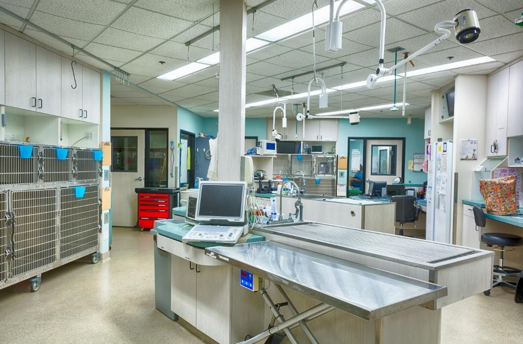 Images Animal Urgent Care