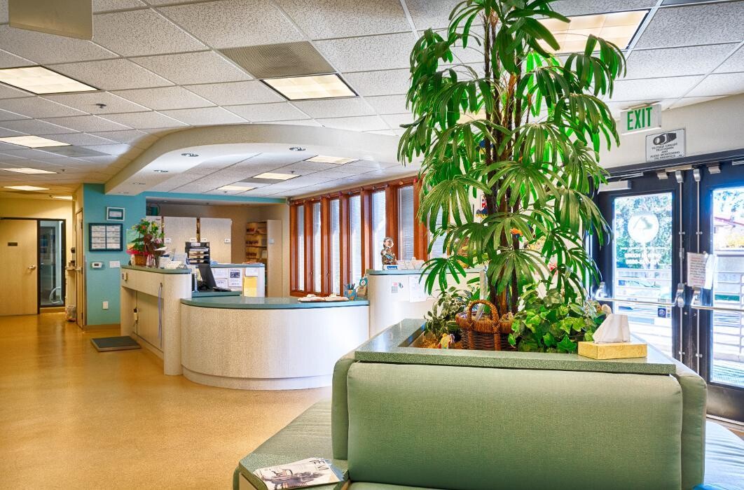 Images Animal Urgent Care