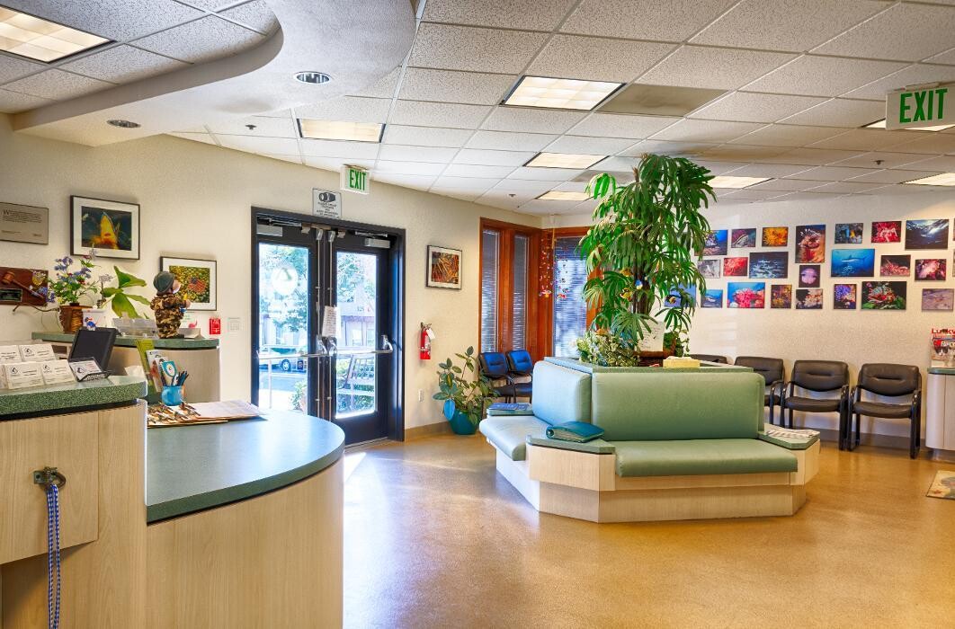 Images Animal Urgent Care