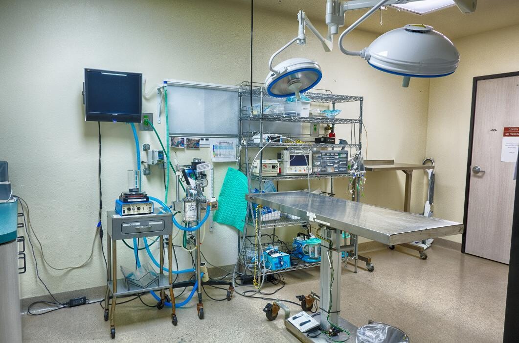 Images Animal Urgent Care