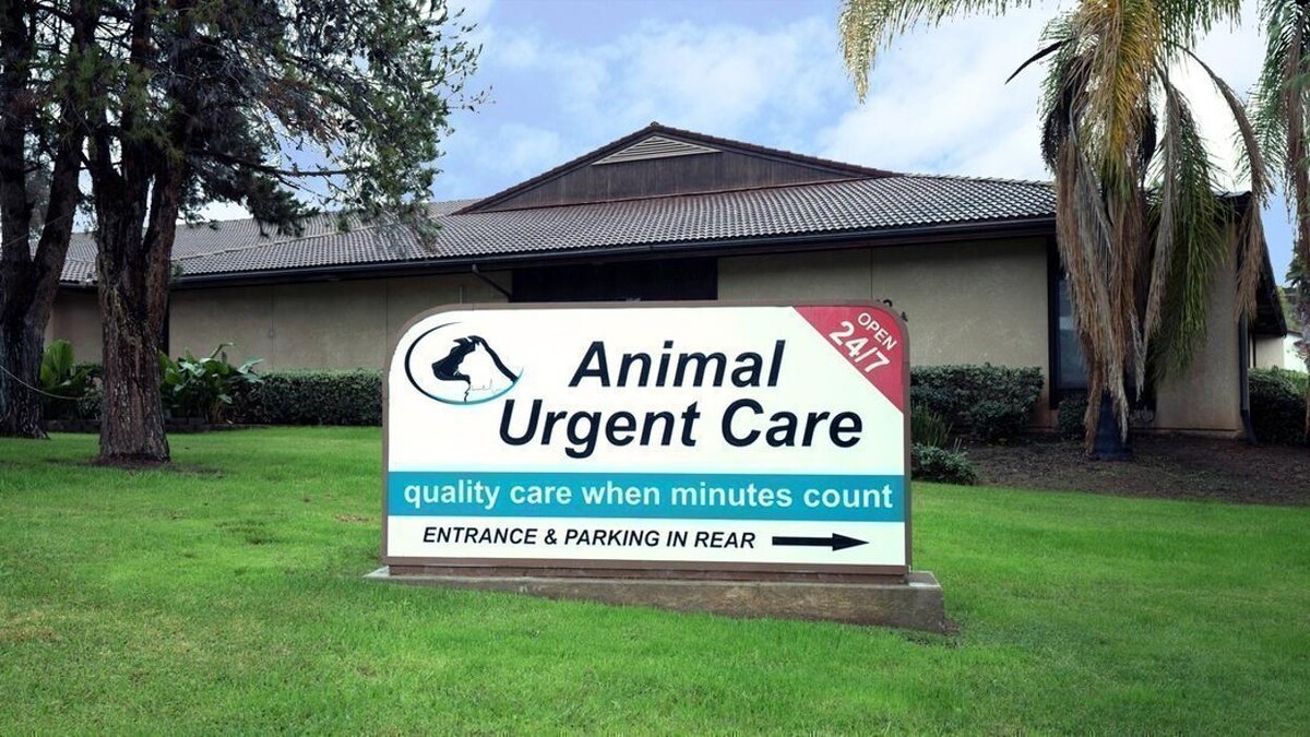 Images Animal Urgent Care