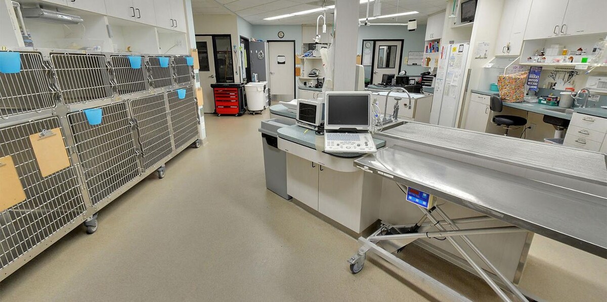 Images Animal Urgent Care