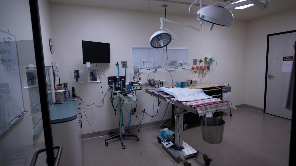 Images Animal Urgent Care