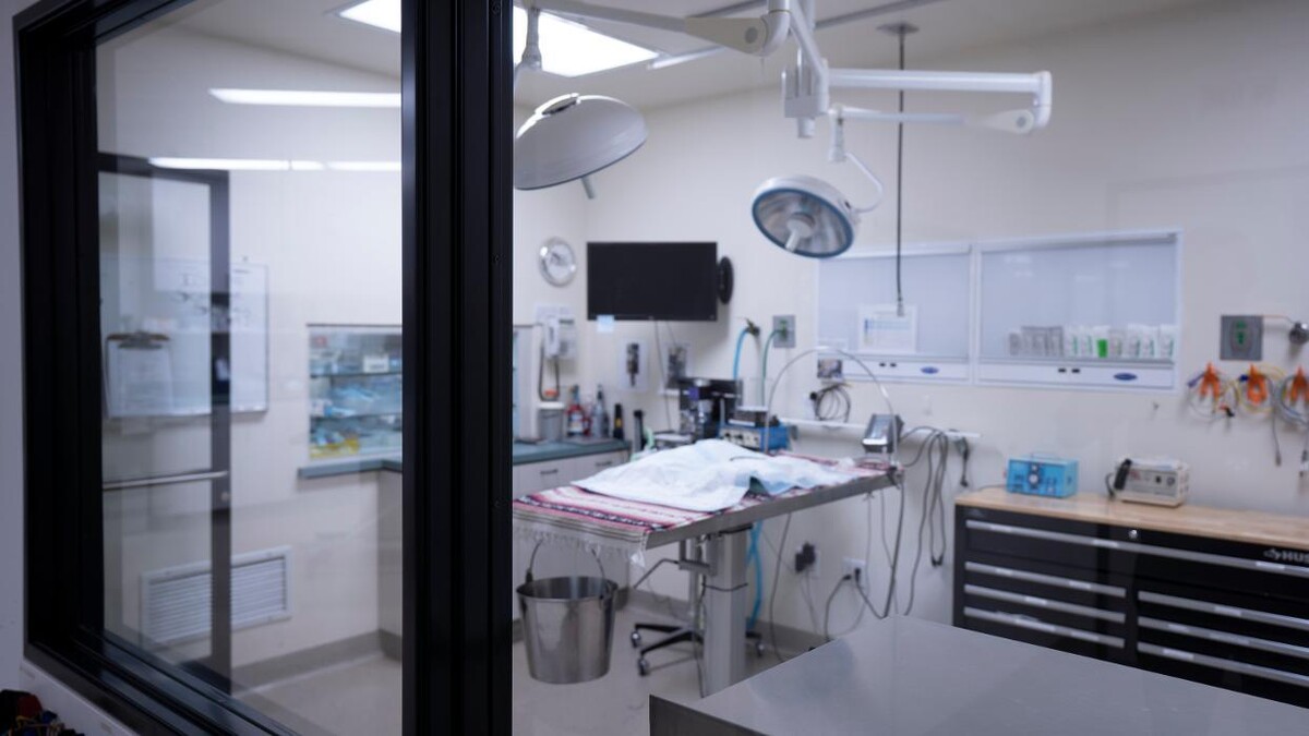 Images Animal Urgent Care