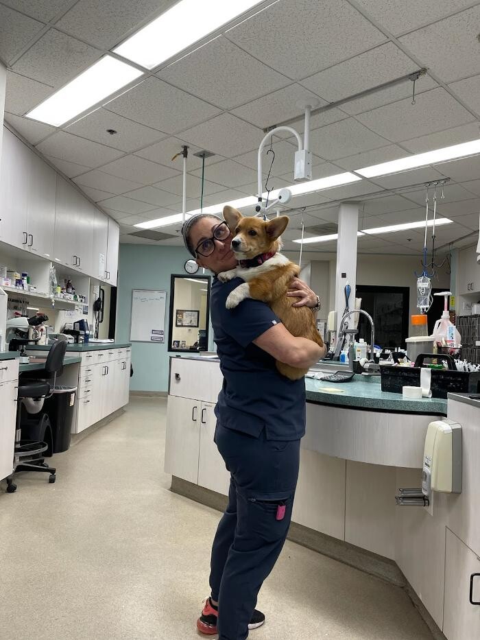 Images Animal Urgent Care