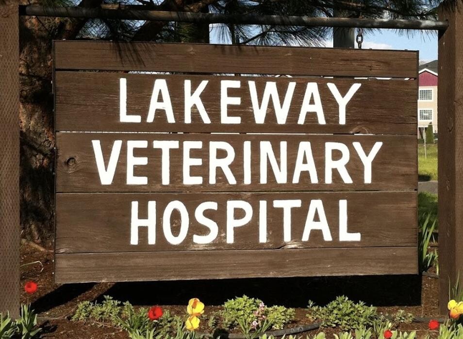 Images Lakeway Veterinary Hospital