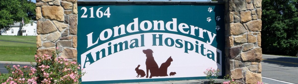 Images Londonderry Animal Hospital