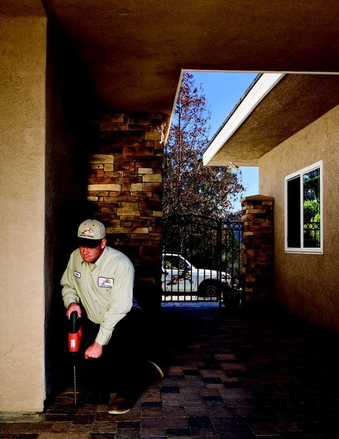 Images Lloyd Pest & Termite Control