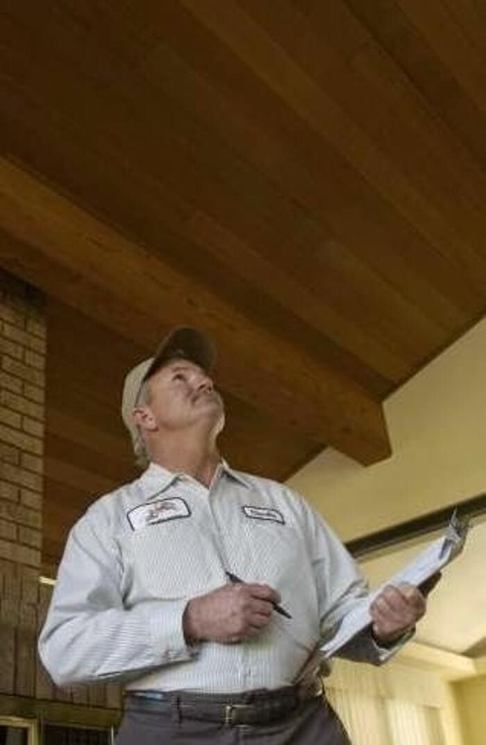 Images Lloyd Pest & Termite Control