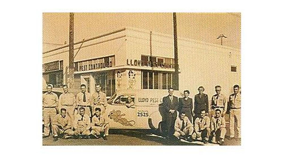 Images Lloyd Pest & Termite Control