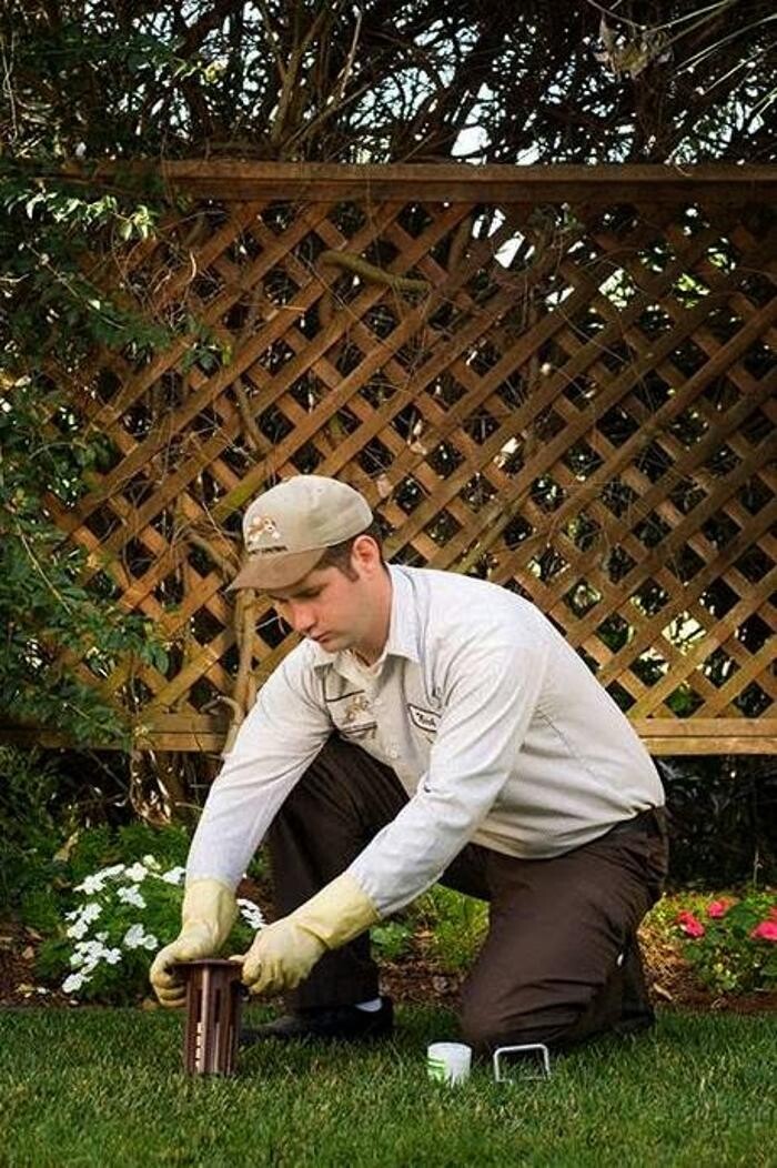 Images Lloyd Pest & Termite Control
