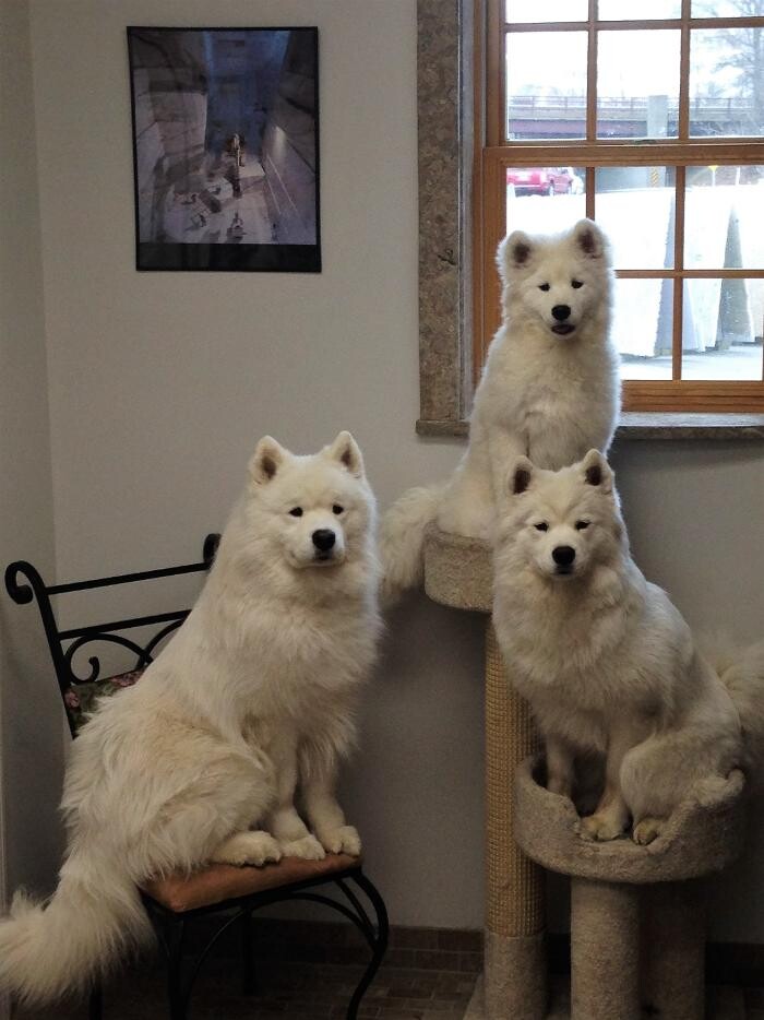 Images Santo C. DeSpirt Marble & Granite