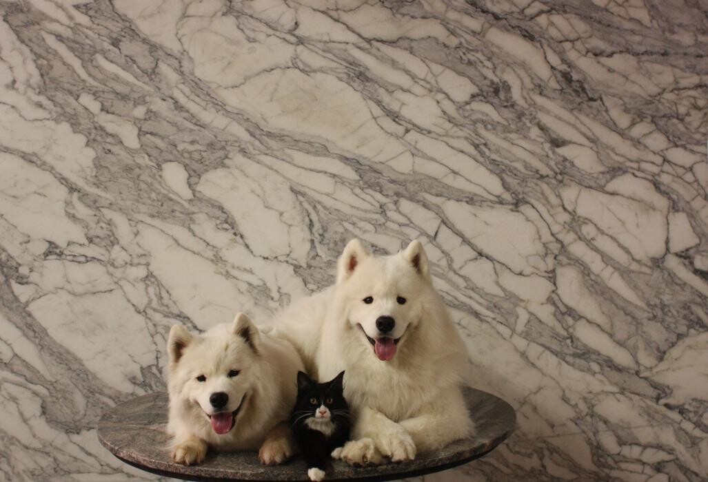 Images Santo C. DeSpirt Marble & Granite