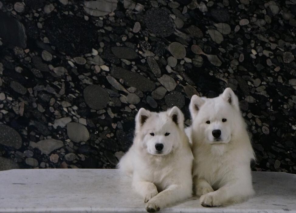 Images Santo C. DeSpirt Marble & Granite