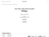Website Screenshot Calvin Klein