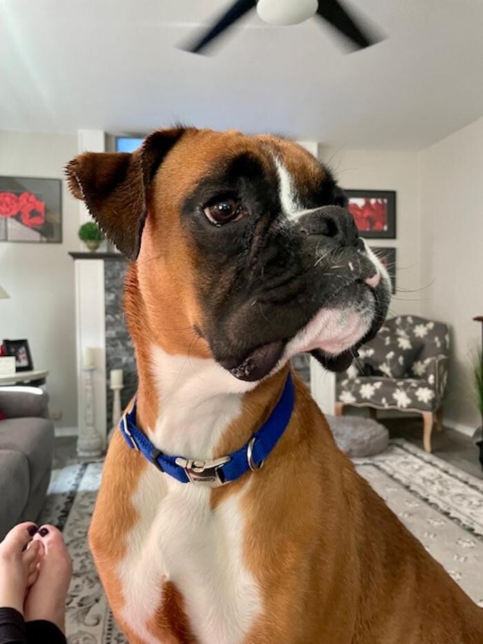 Images Port Angeles Realty