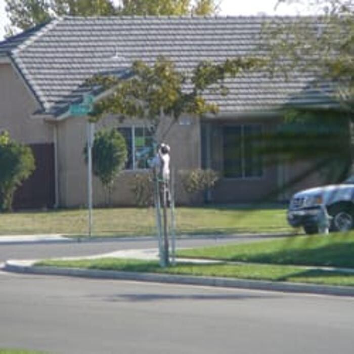 Images Nighthawk Investigations