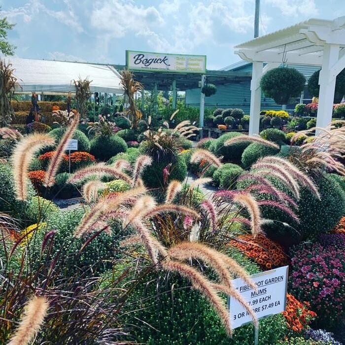 Images Begick Nursery