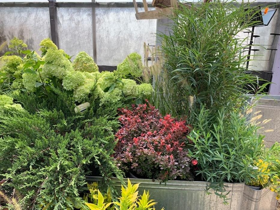 Images Begick Nursery