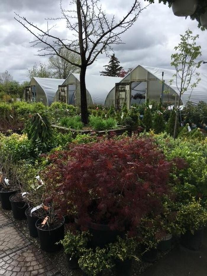 Images Begick Nursery