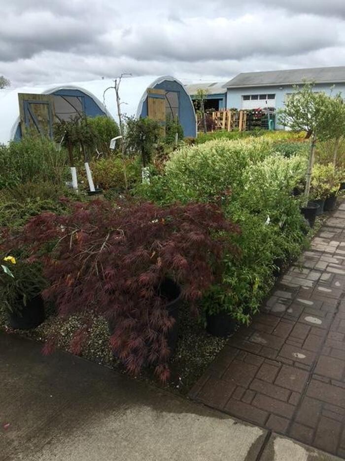 Images Begick Nursery