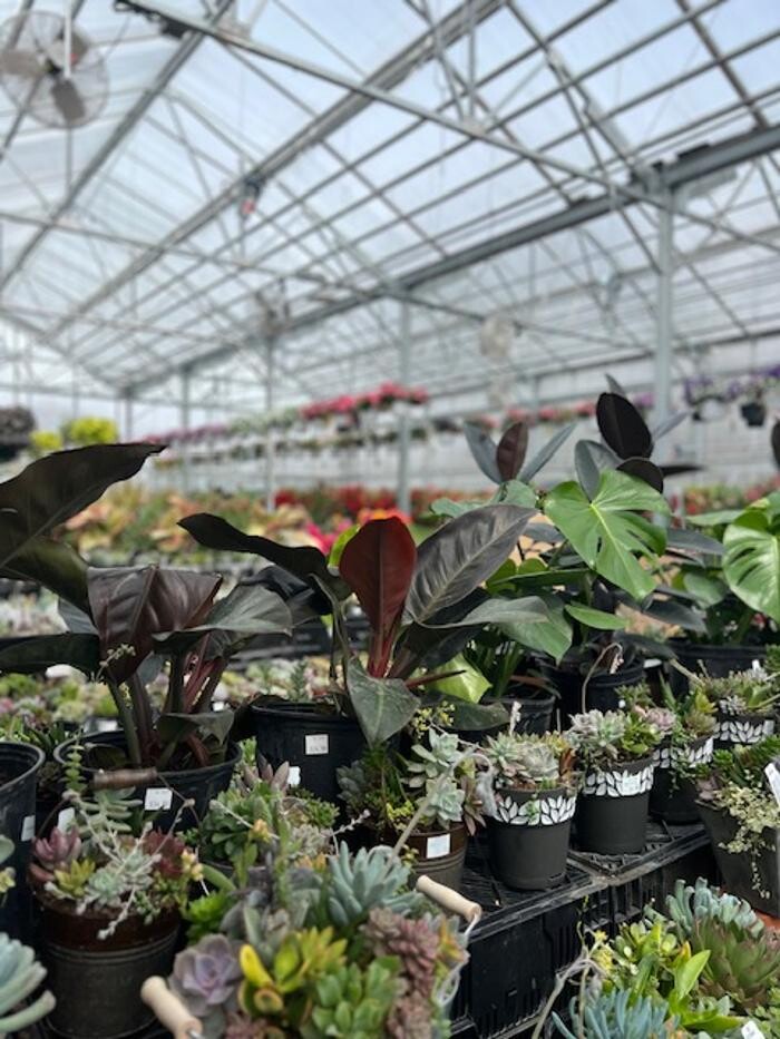 Images Begick Nursery